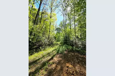795 Porterfield Gap Road, Robbinsville, NC 28771 - Photo 53