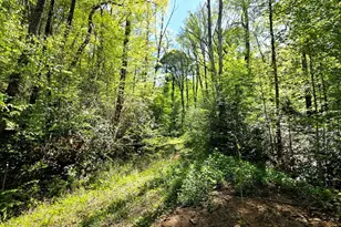 795 Porterfield Gap Rd, Robbinsville, NC 28771 - Photo 53