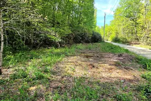 795 Porterfield Gap Rd, Robbinsville, NC 28771 - Photo 71