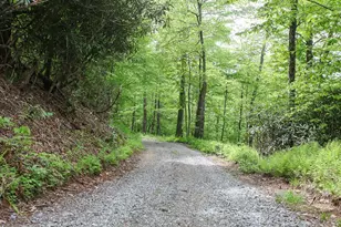 795 Porterfield Gap Rd, Robbinsville, NC 28771 - Photo 103