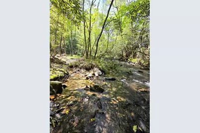 795 Porterfield Gap Road, Robbinsville, NC 28771 - Photo 13