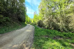 795 Porterfield Gap Rd, Robbinsville, NC 28771 - Photo 67
