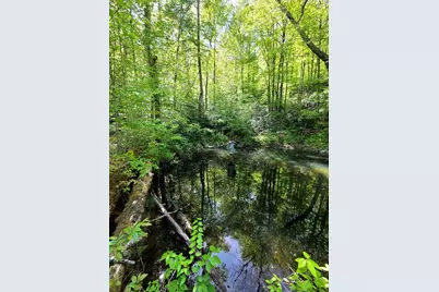 795 Porterfield Gap Road, Robbinsville, NC 28771 - Photo 43
