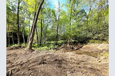 795 Porterfield Gap Road, Robbinsville, NC 28771 - Photo 65