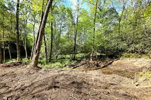 795 Porterfield Gap Rd, Robbinsville, NC 28771 - Photo 65