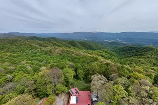 795 Porterfield Gap Rd, Robbinsville, NC 28771 - Photo 93