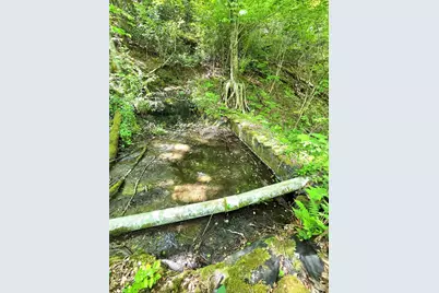 795 Porterfield Gap Road, Robbinsville, NC 28771 - Photo 45