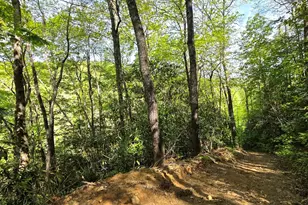 795 Porterfield Gap Rd, Robbinsville, NC 28771 - Photo 63