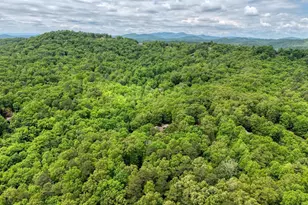 277 Clay Durrett Rd, Murphy, NC 28906 - Photo 77