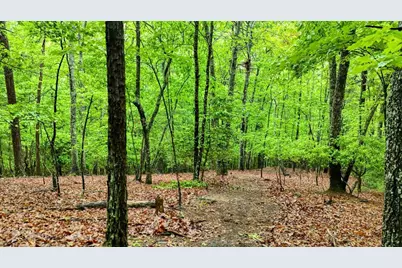 3410 Moccasin Creek Road, Murphy, NC 28906 - Photo 45