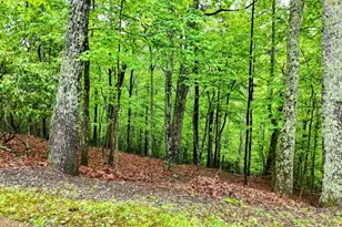 3410 Moccasin Creek Rd, Murphy, NC 28906 - Photo 43