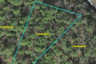 Tbd Spectacular Blvd, Hayesville, NC 28904 - Photo 1