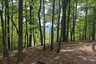 Lot 4 Hampton Knob, Murphy, NC 28906 - Photo 1