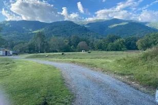 10617 Hwy 64 E, Hayesville, NC 28904 - Photo 1