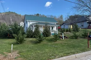 215 Bristol Ave, Andrews, NC 28901 - Photo 1
