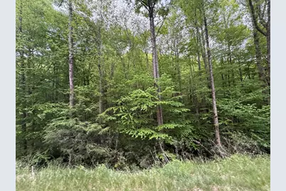 Lot 11& 15 Warrior Way Road, Andrews, NC 28781 - Photo 5