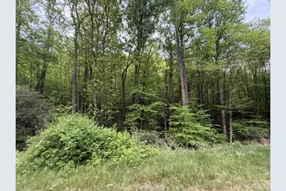 Lot 11& 15 Warrior Way Road, Andrews, NC 28781 - Photo 3