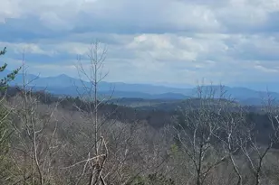 22 Hudson Springs Ln, Murphy, NC 28906 - Photo 21
