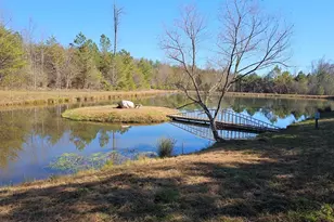 22 Hudson Springs Ln, Murphy, NC 28906 - Photo 21