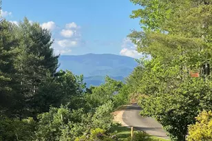 750 Double Springs Dr, Almond, NC 28702 - Photo 99
