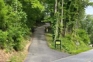 354 Deals Gap, Robbinsville, NC 28771 - Photo 61