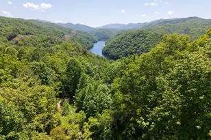 354 Deals Gap, Robbinsville, NC 28771 - Photo 3
