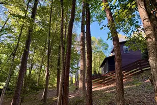 250 Hickory Woods Trail, Murphy, NC 28906 - Photo 31