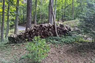 250 Hickory Woods Trail, Murphy, NC 28906 - Photo 47