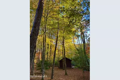 250 Hickory Woods Trail, Murphy, NC 28906 - Photo 21