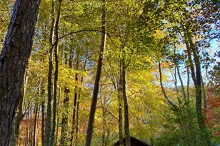 250 Hickory Woods Trail, Murphy, NC 28906 - Photo 21