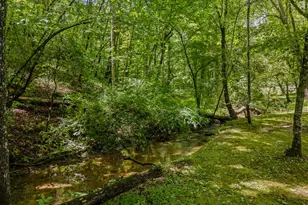 35 Winding Hl Trl, Murphy, NC 28906 - Photo 3