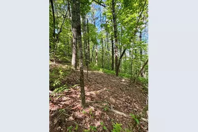 675 Ed Graves Road, Murphy, NC 28906 - Photo 5