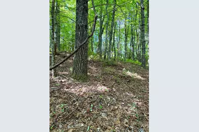 675 Ed Graves Road, Murphy, NC 28906 - Photo 3