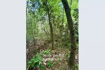 675 Ed Graves Road, Murphy, NC 28906 - Photo 31