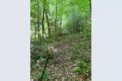 675 Ed Graves Road, Murphy, NC 28906 - Photo 11