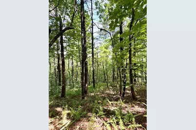 675 Ed Graves Road, Murphy, NC 28906 - Photo 7