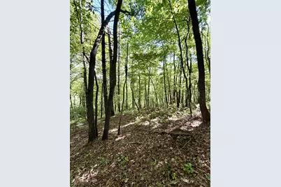 675 Ed Graves Road, Murphy, NC 28906 - Photo 1