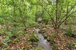 255 Stoney Brook Trail, Hayesville, NC 28904 - Photo 49