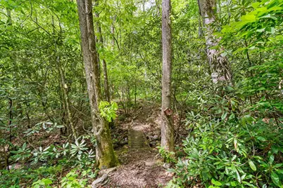 255 Stoney Brook Trail, Hayesville, NC 28904 - Photo 47