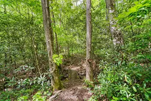 255 Stoney Brook Trail, Hayesville, NC 28904 - Photo 47