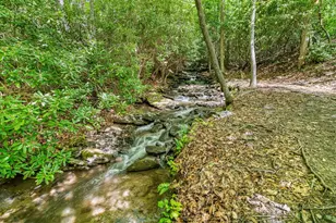 255 Stoney Brook Trail, Hayesville, NC 28904 - Photo 43