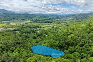 477 Little Snowbird Trl, Marble, NC 28905 - Photo 47