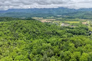 477 Little Snowbird Trl, Marble, NC 28905 - Photo 45