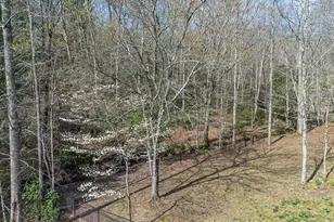 1220 Burger Rd, Murphy, NC 28906 - Photo 87