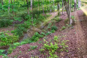 1220 Burger Rd, Murphy, NC 28906 - Photo 61