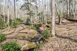 1220 Burger Rd, Murphy, NC 28906 - Photo 89