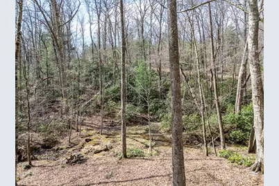 1220 Burger Road, Murphy, NC 28906 - Photo 93