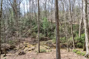 1220 Burger Rd, Murphy, NC 28906 - Photo 93
