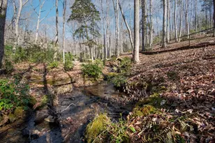1220 Burger Rd, Murphy, NC 28906 - Photo 43