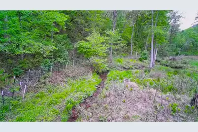 3325 Pack Mountain Road, Murphy, NC 28906 - Photo 67